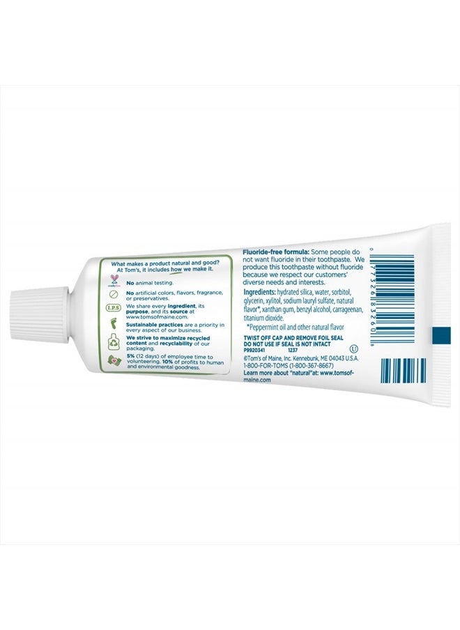 Travel Size Fluoride-Free Fresh Mint Toothpaste, 3 oz. (Packaging May Vary)