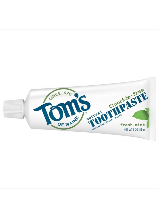 Travel Size Fluoride-Free Fresh Mint Toothpaste, 3 oz. (Packaging May Vary)
