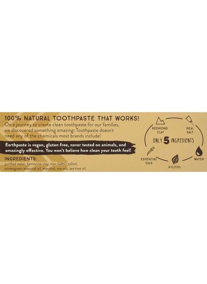 Earthpaste All Natural Non-Fluoride Vegan Non GMO Real Ingredients Toothpaste, Wintergreen 4 Ounce Tube (Pack of 3) (Packaging May Vary)
