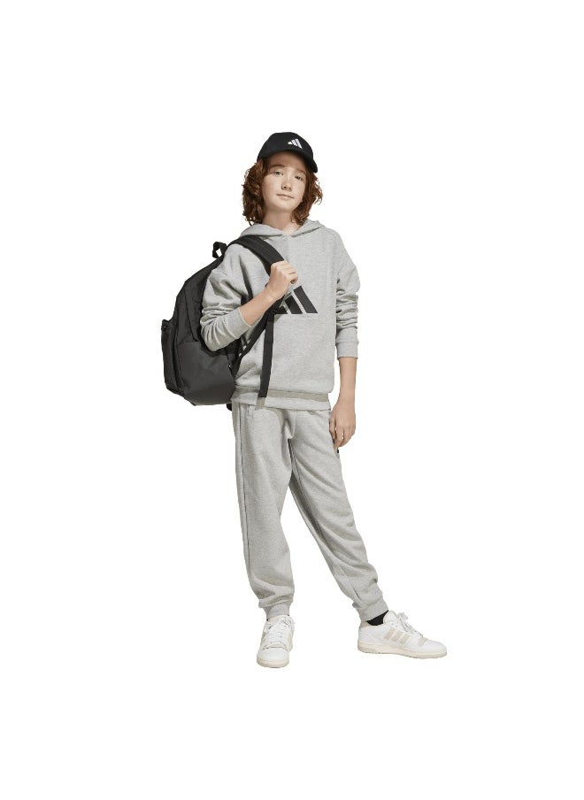 adidas future icons logo unisex hooded sweatshirt