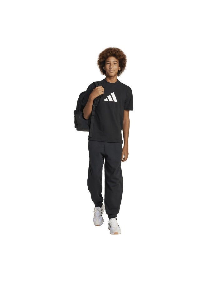adidas future icons logo unisex pants