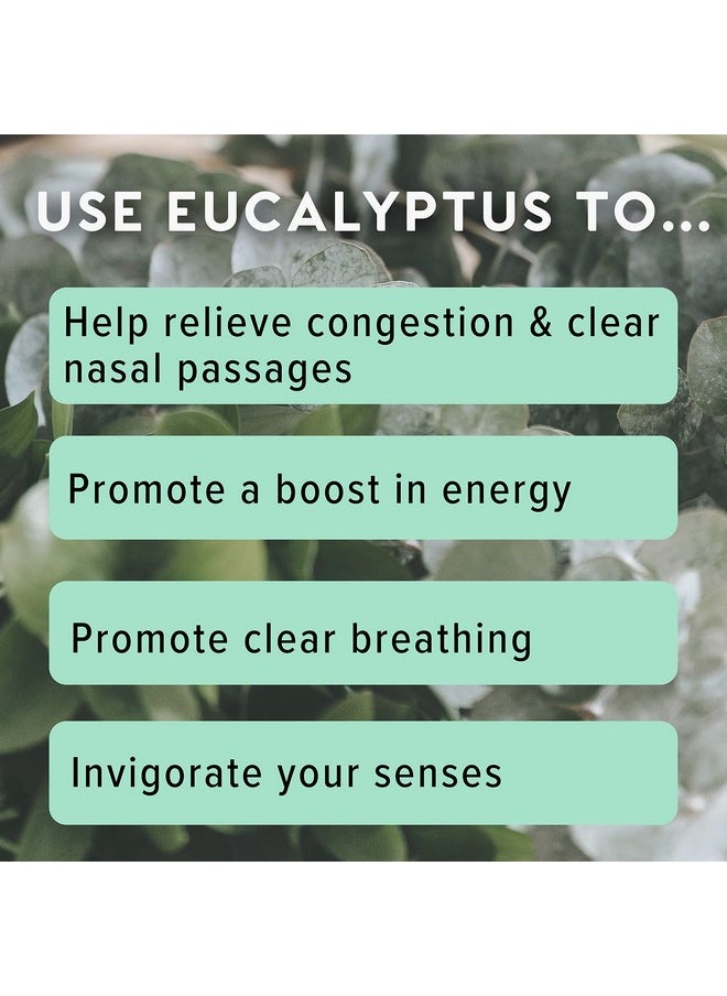 MOXĒ Eucalyptus Essential Oil Nasal Inhaler, Sinus & Congestion Relief, Daily Relaxation, Stress Relief, Therapeutic No-Mess Aromatherapy, Pure and Natural, Made in USA (3 Pack)