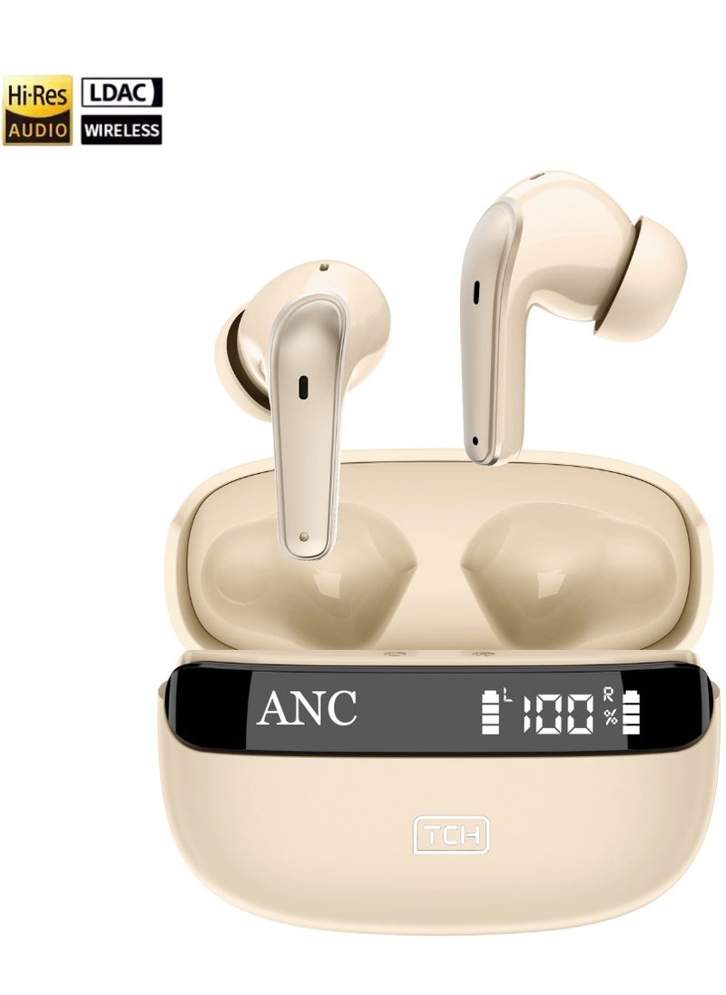 L10 ANC