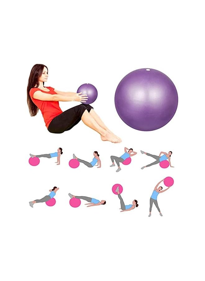 promass 2pcs Mini Exercise Ball 9inch/23cm Small Yoga Ball Soft Pilate Ball Home Training Ball, Anti Burst and Slip, with Inflatable Straw for Therapy, Barre, Core Training