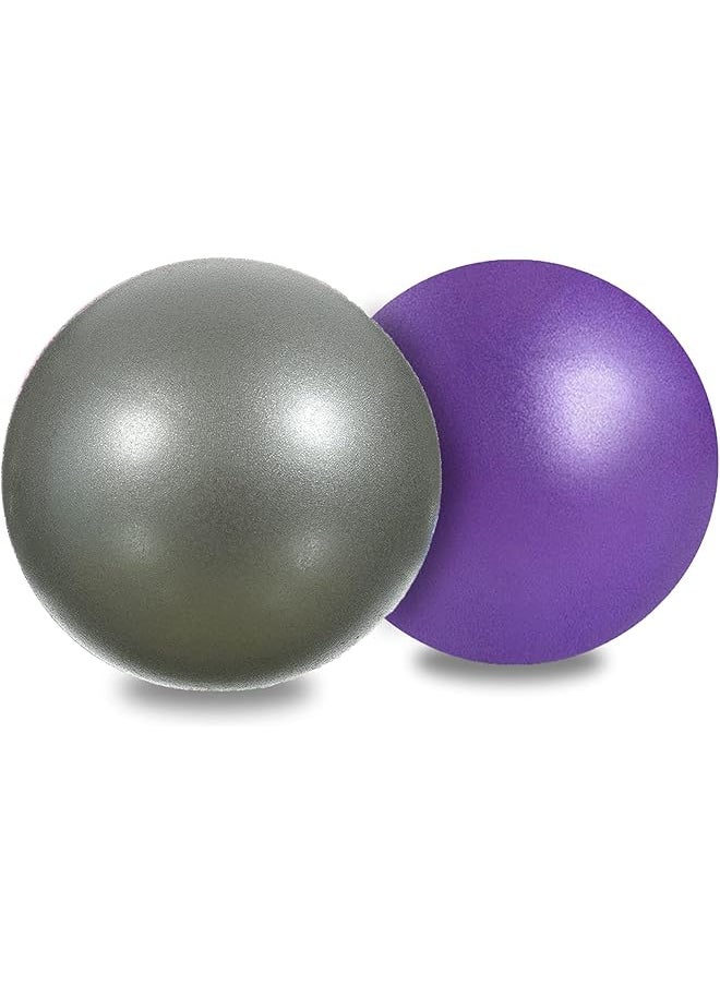 Mini Exercise Barre Ball 9 Inch for Yoga,Pilates,Stability Therapy, Body Balance Physical Core Training Gym Anti Burst and Slip Resistant Balls with Inflatable Straw Purple Gray