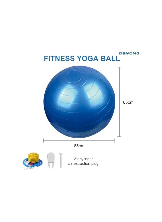 DAYONG Anti-Burst Exercise Ball, Yoga Fitness Ball with Air Pump for Adult and Kids, Thickened Stability Balance Ball for Yoga, Pilates, Kids Sensory Training, Core Strengthening.