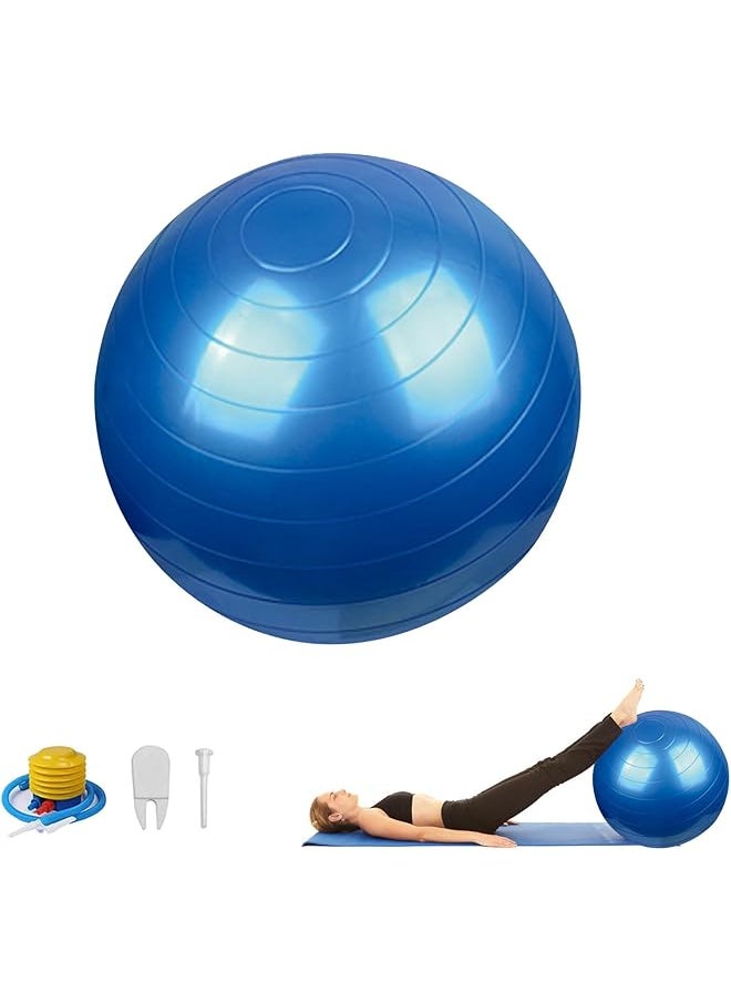 DAYONG Anti-Burst Exercise Ball, Yoga Fitness Ball with Air Pump for Adult and Kids, Thickened Stability Balance Ball for Yoga, Pilates, Kids Sensory Training, Core Strengthening.