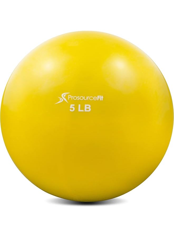 ProsourceFit Weighted Toning Exercise Balls for Pilates