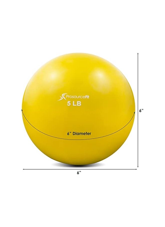 ProsourceFit Weighted Toning Exercise Balls for Pilates