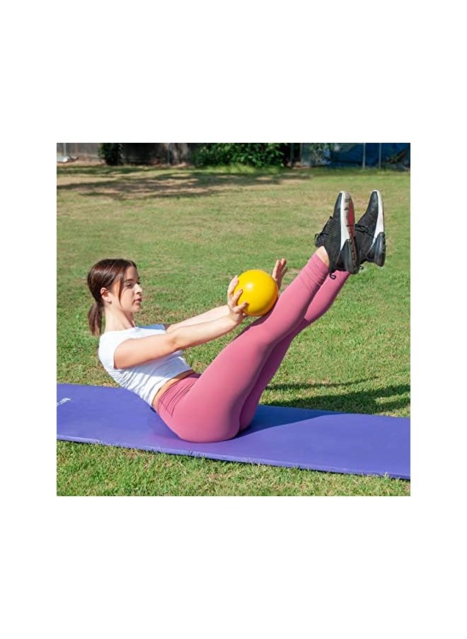 ProsourceFit Weighted Toning Exercise Balls for Pilates