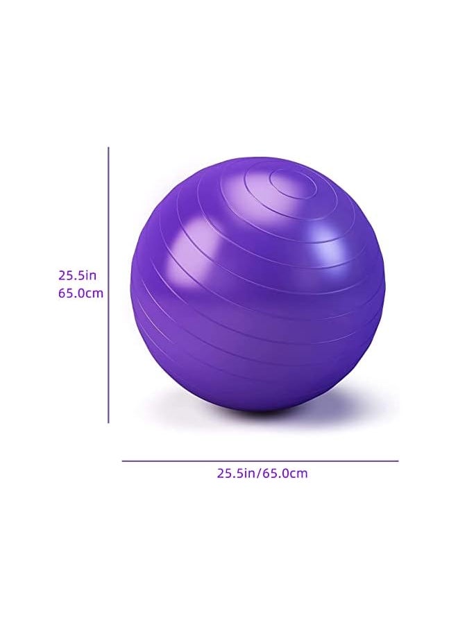 promass Yoga Ball Anti-Burst, 65cm Exercise Ball With Air Pump Thickened Stability Balance Ball For Physical Fitness Exercise Purple