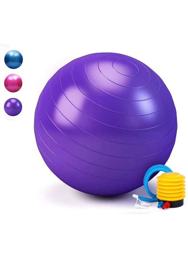 promass Yoga Ball Anti-Burst, 65cm Exercise Ball With Air Pump Thickened Stability Balance Ball For Physical Fitness Exercise Purple