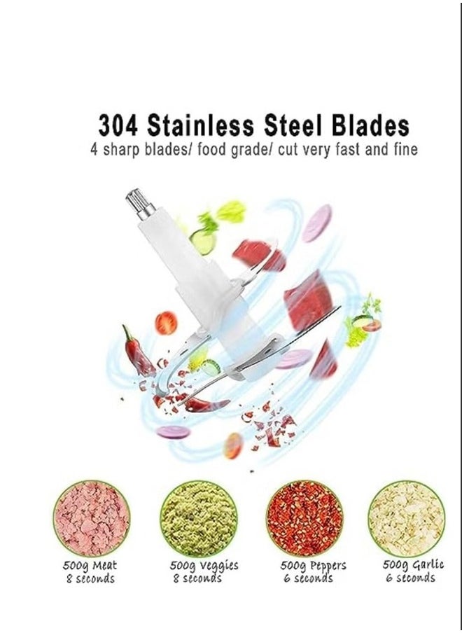 3L Electric Chopper,Food Processor,2 Speeds Electric Meat Grinder with 4-Blades,Stainless Steel Bowl,1000W,R.7031,Silver/Black