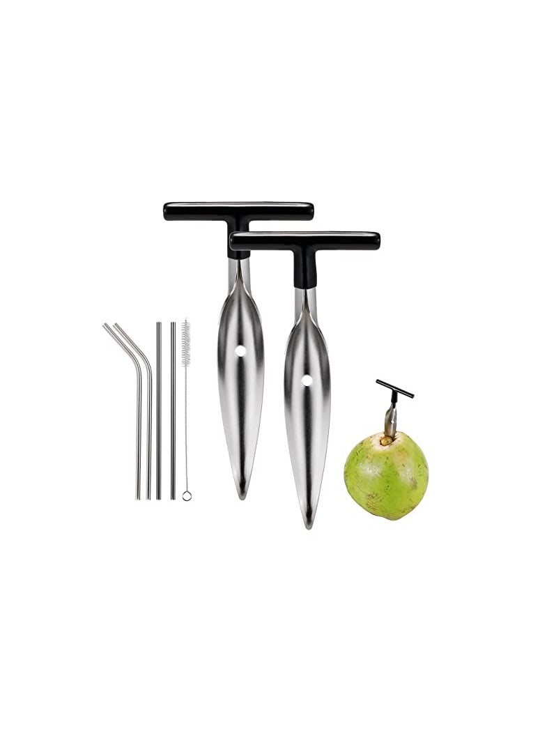 2 PCS Coconut Opener Tool Set with 4 Reusable Straws & Brush, Food Grade Stainless Steel Coco Nut Bottle Opener for Young Thai Green Fresh Coconut Water, Safe and Easy Convenient Coco Drill Punch