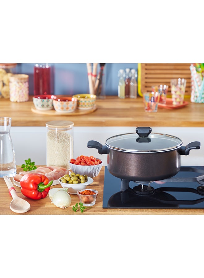 TEFAL EASY COOK AND CLEAN | Stewpot 24 cm | easy clean | non stick coating | thermo signal | heat indicator | diffusion base | healthy | safe cookware | Made in France | 2 Years Warranty | B5544602 Black Coffee Ultra