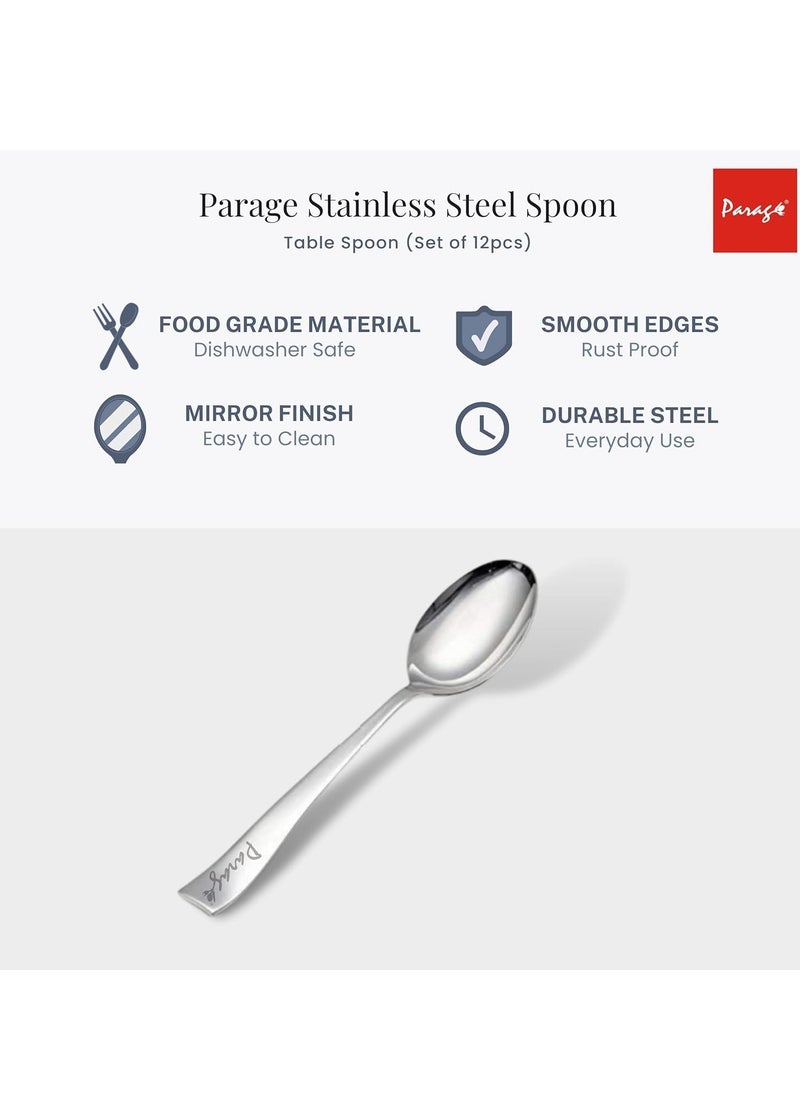 Parage 24 Pieces Stainless Steel Spoons Set, Dinner Spoon Length 16cm, Food Grade Silverware for Home & Kitchen- Mirror Polished, 24 Silver Spoons