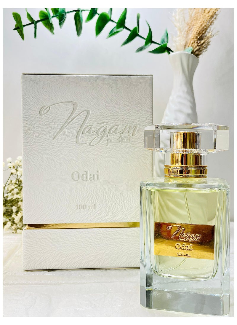 Nagam Odai French Perfume For Men 100ml