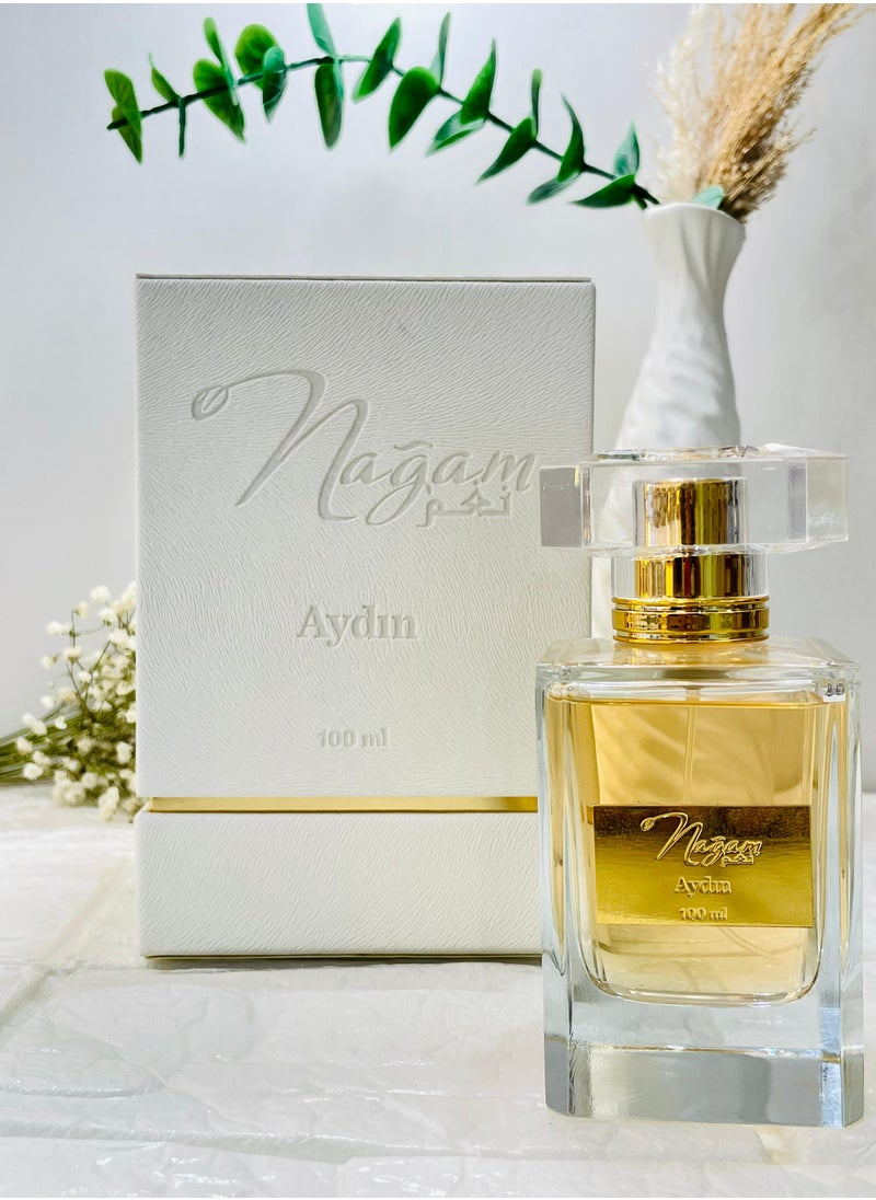 Nagam Aydin Arabic Perfume For Men 100 ml