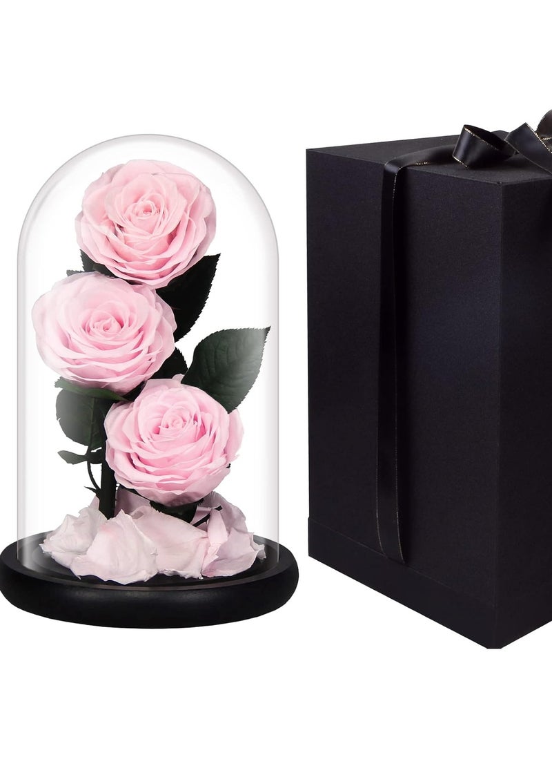 Luxury Preserved Pink Roses in Glass Dome – Real Eternal Flowers with Gift Box for Valentine’s Day, Birthday & Special Occasions