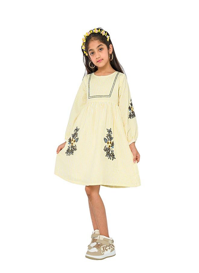 Embroidered Stripe Dress