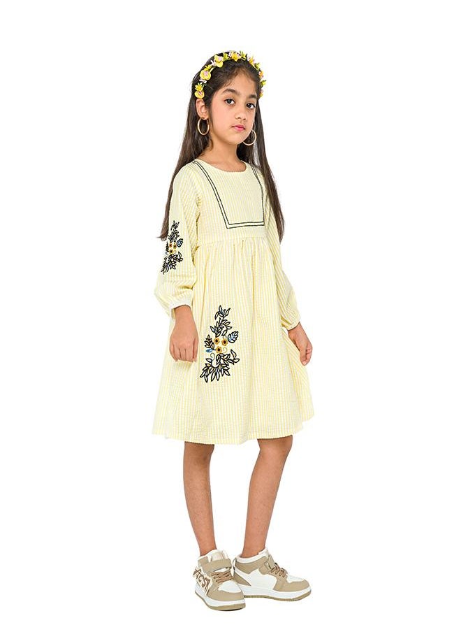Embroidered Stripe Dress