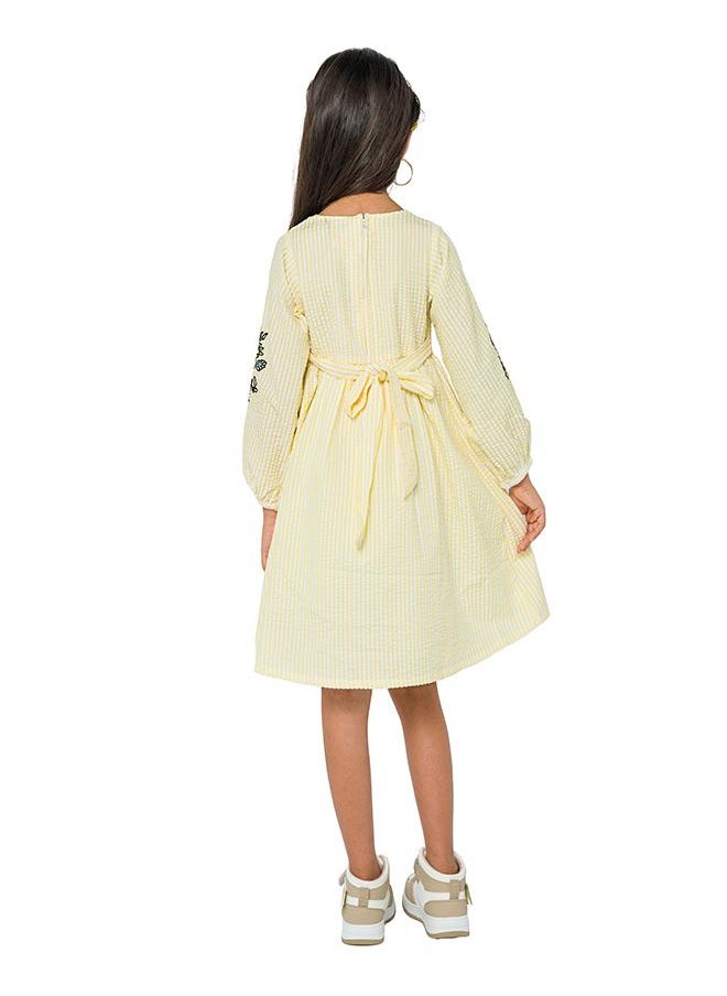 Embroidered Stripe Dress