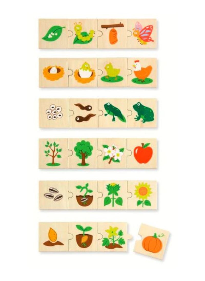 Wooden Growing Puzzle - Life Cycle Learning Set