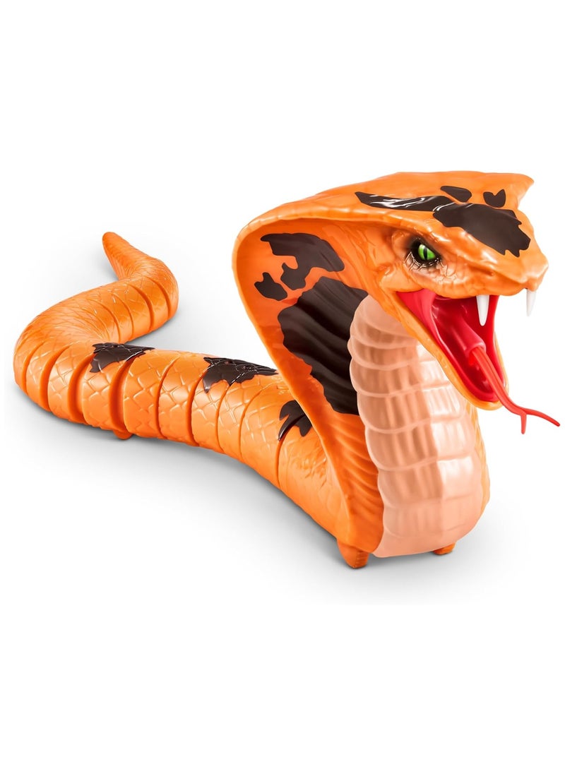 Zuru Robo Alive King Cobra Series 1 Robotic Figure Slithers & Slides Like a Real King Cobra Snake! Assorted Colors