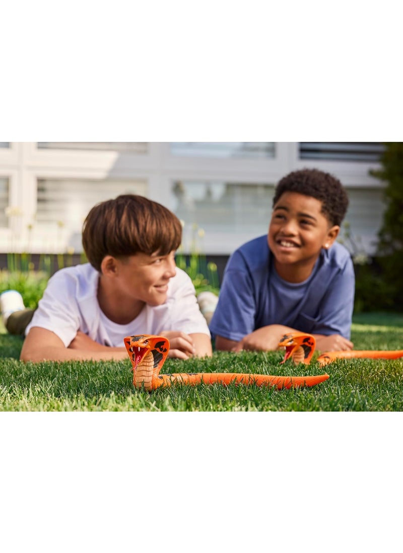 Zuru Robo Alive King Cobra Series 1 Robotic Figure Slithers & Slides Like a Real King Cobra Snake! Assorted Colors