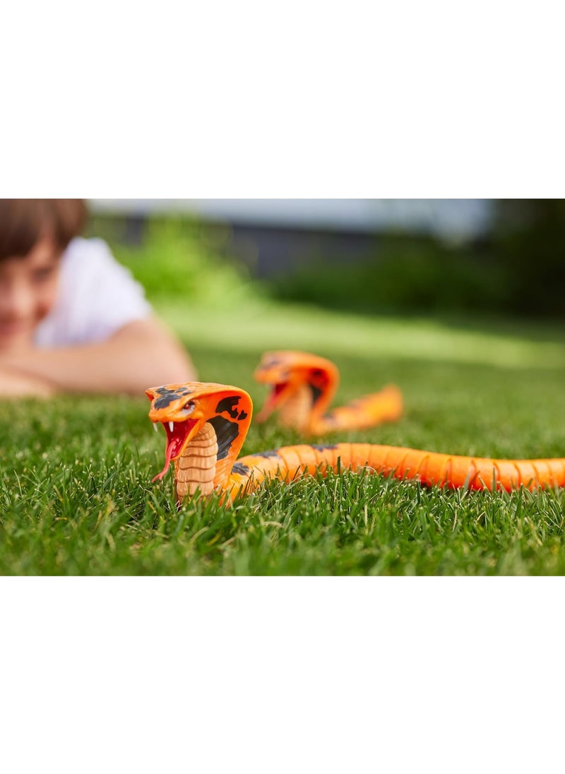 Zuru Robo Alive King Cobra Series 1 Robotic Figure Slithers & Slides Like a Real King Cobra Snake! Assorted Colors