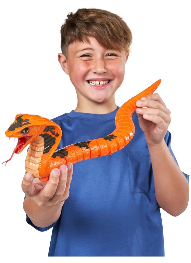 Zuru Robo Alive King Cobra Series 1 Robotic Figure Slithers & Slides Like a Real King Cobra Snake! Assorted Colors