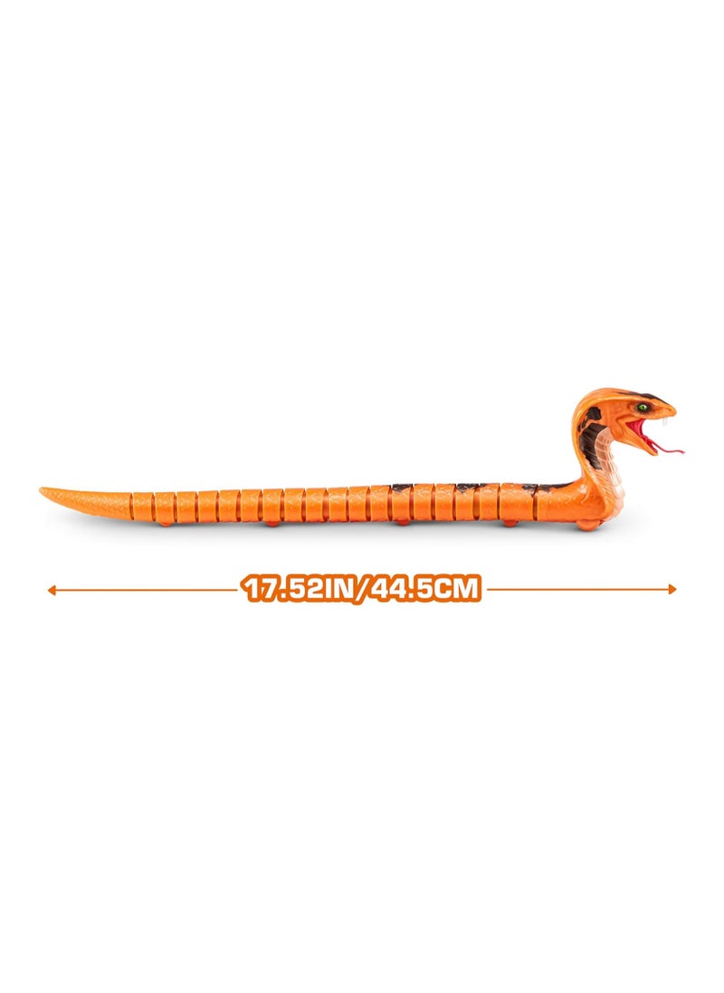 Zuru Robo Alive King Cobra Series 1 Robotic Figure Slithers & Slides Like a Real King Cobra Snake! Assorted Colors