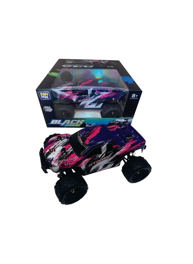 Sam Toys Black Hole Storm Remote Control Car (1:18, Purple)