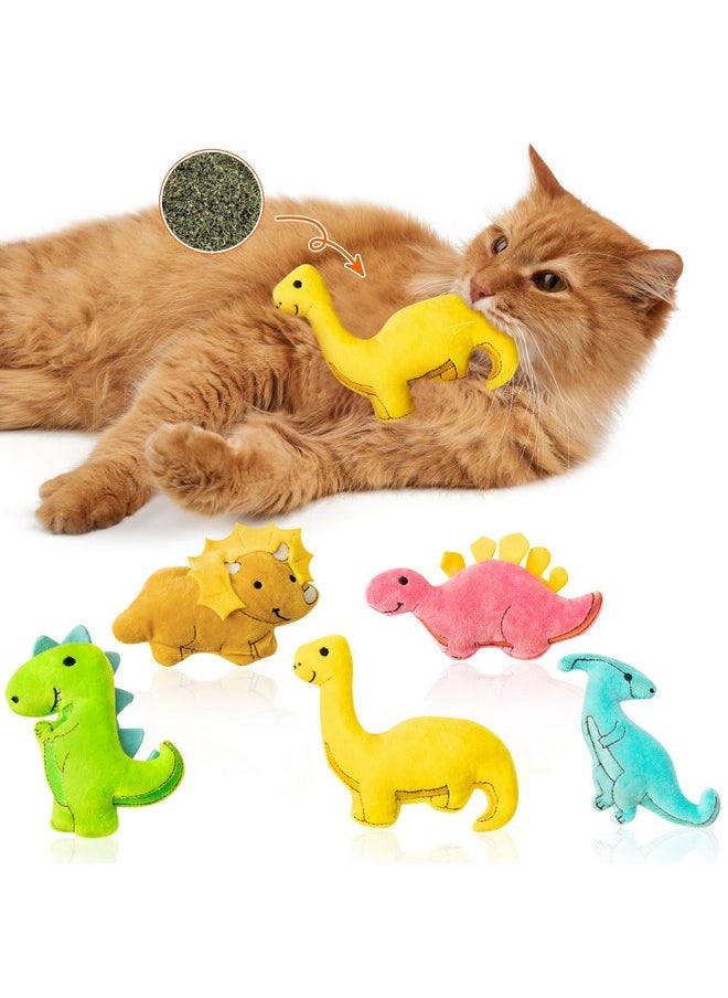 MALLMALL6 5Pcs Dinosaur Catnip Toys for Cat, Indoor Cat Chew Bite Bunny Kick Plush Catmint Pet Toys Supplies for Cat Lover Gifts, Interactive Cat Toy with Cute Expression for Pet Presents