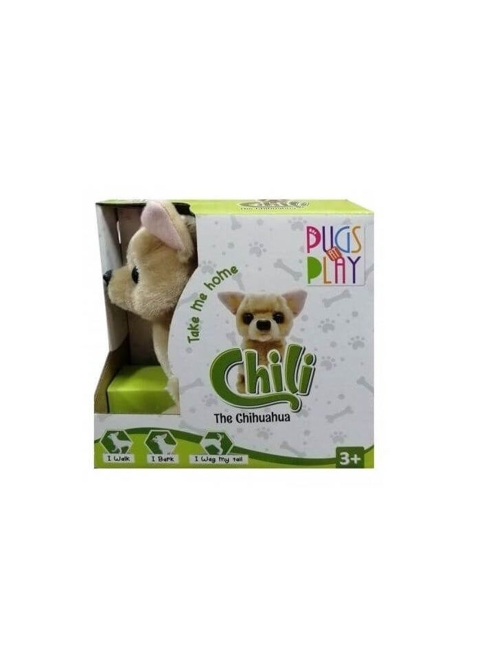 Plugs at Play - Chili the Chihuahua