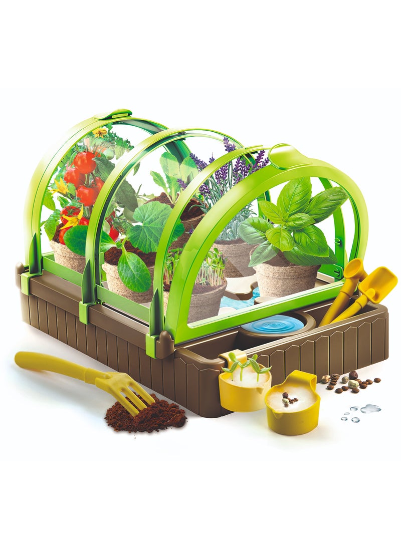 Clementoni Science and Play Greenhouse | Educational & Learning Toys