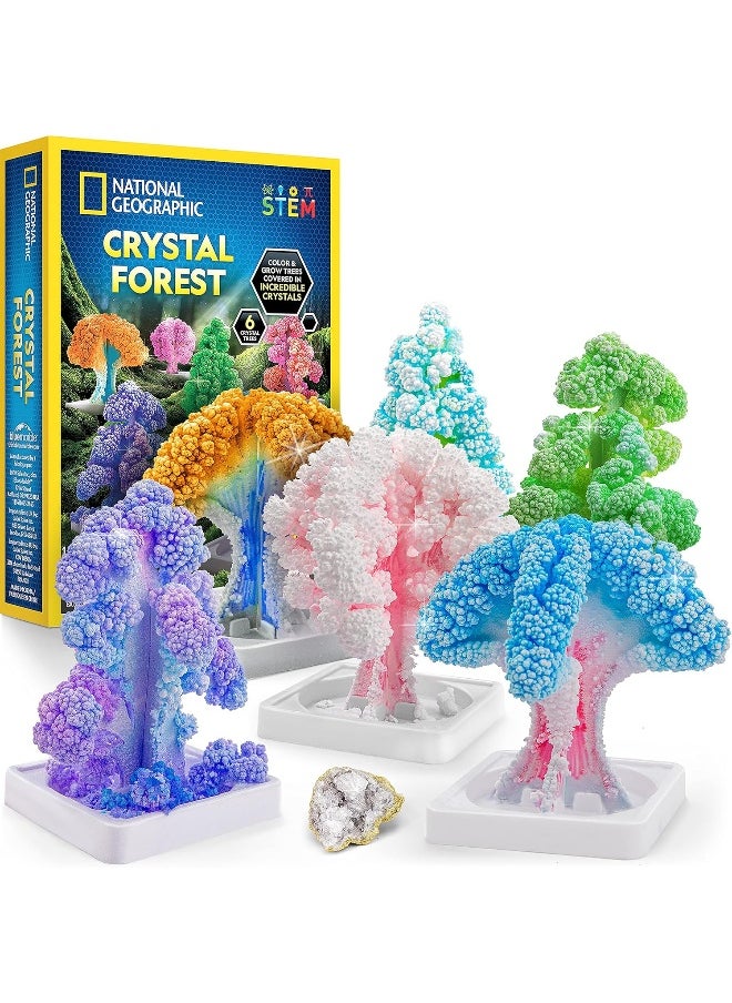 National Geographic Crystal Tree Forest Kit