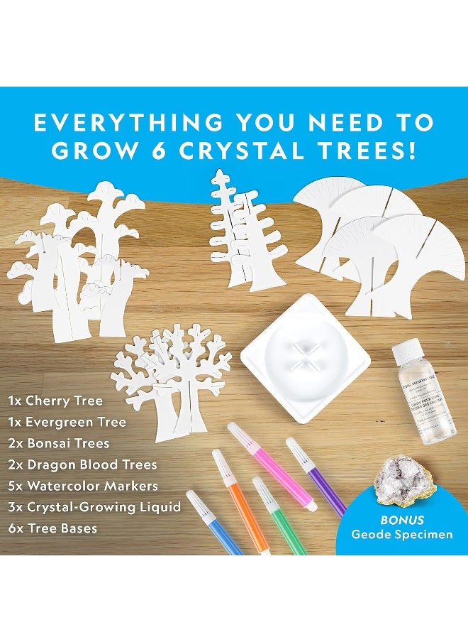 National Geographic Crystal Tree Forest Kit