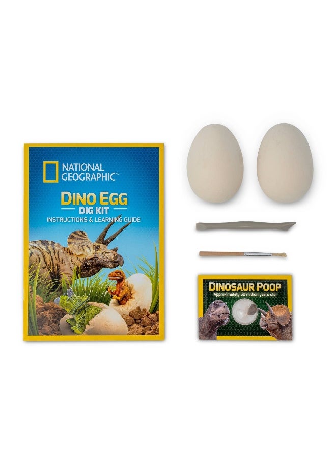 Dino Egg Dig Kit