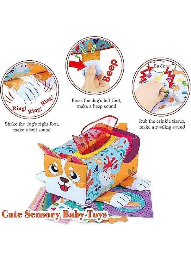 Baby Tissue Box Toy, Montessori Sensory Baby Toys for Babies 6 to 12 Months, Soft Educational Tissue Box,Colorful Scarves Early Learning 1 Year Old Boys Girls