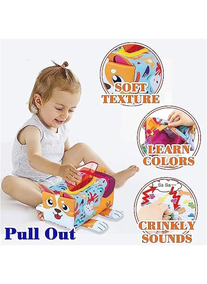Baby Tissue Box Toy, Montessori Sensory Baby Toys for Babies 6 to 12 Months, Soft Educational Tissue Box,Colorful Scarves Early Learning 1 Year Old Boys Girls