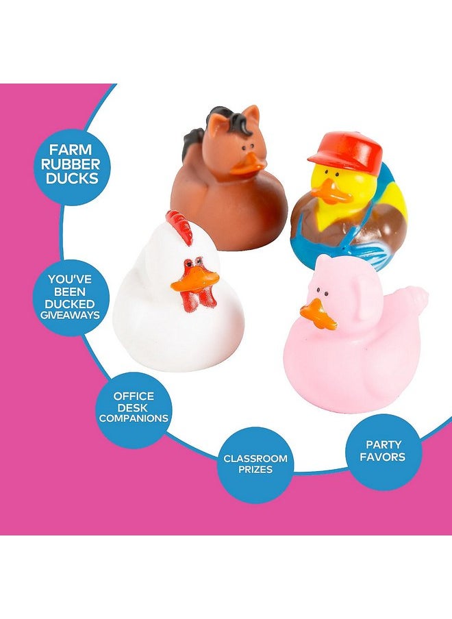 Fun Express Farm Rubber Ducks, Duckies, 12 Pieces, Birthday Parties, Treasure Chest Supplies