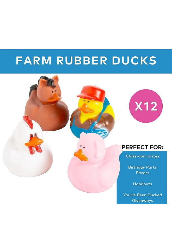 Fun Express Farm Rubber Ducks, Duckies, 12 Pieces, Birthday Parties, Treasure Chest Supplies