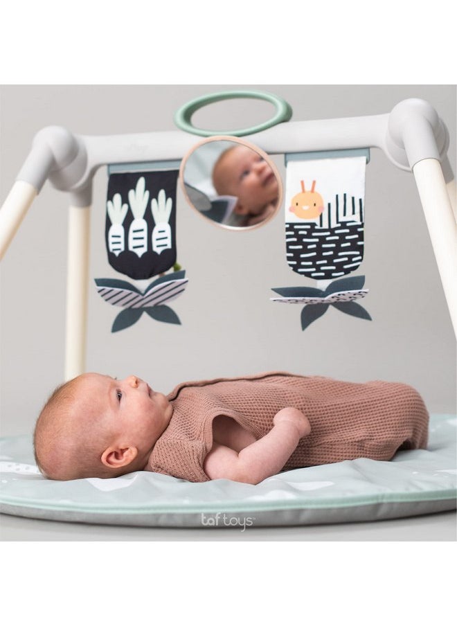 Taf Toys Foldable Baby Play Gym. Double Sided Infant Activity Center with Black, White & Color Toys, XL Baby-Safe Mirror & Activity Toys. Hanging Bar Toddler Toy Little Dove Baby Playmat
