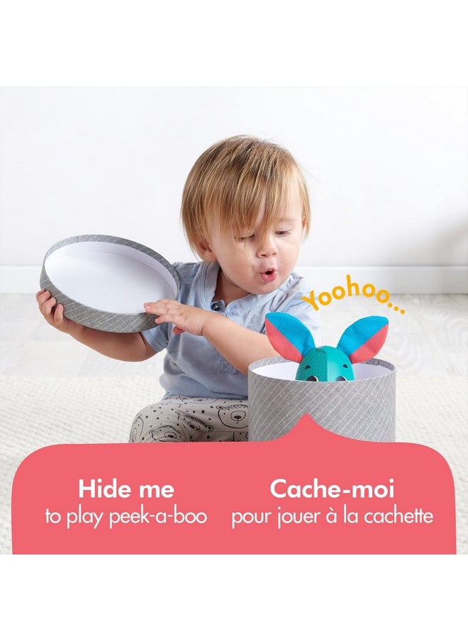 Tiny Love Wonder Buddies, Thomas, One Size, Blue (TO1120700)
