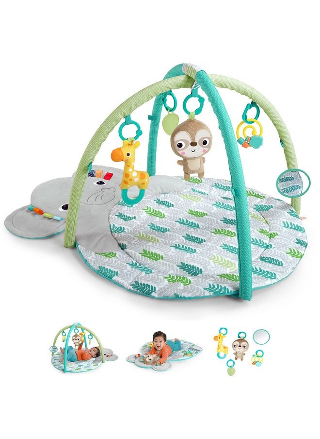 Bright Starts Hug 'N Cuddle Activity Gym & Playmat with Take-Along Toys