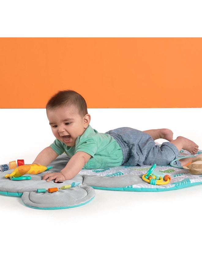 Bright Starts Hug 'N Cuddle Activity Gym & Playmat with Take-Along Toys