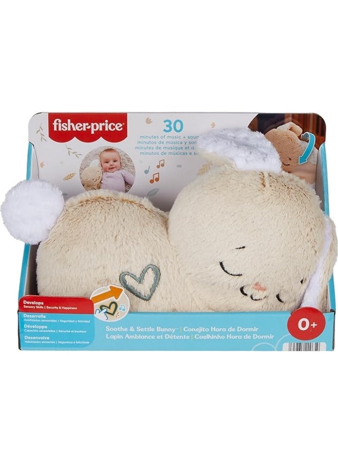 Fisher-Price Soothe & Settle Bunny Plush Baby Toy (26.67 cm)