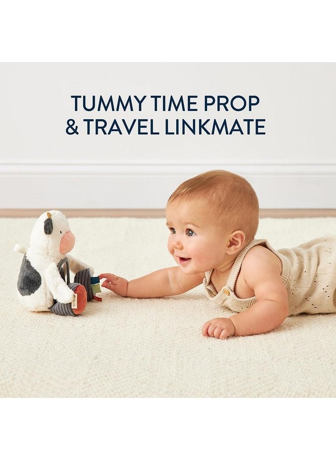 Itzy Ritzy Sensory Tummy Time Toy Mirror - Features Crinkle & Jingle Sounds, Multiple Textures and Mirror for Self-Discovery, Infant Toy for Ages 0 Months and Up, Cow