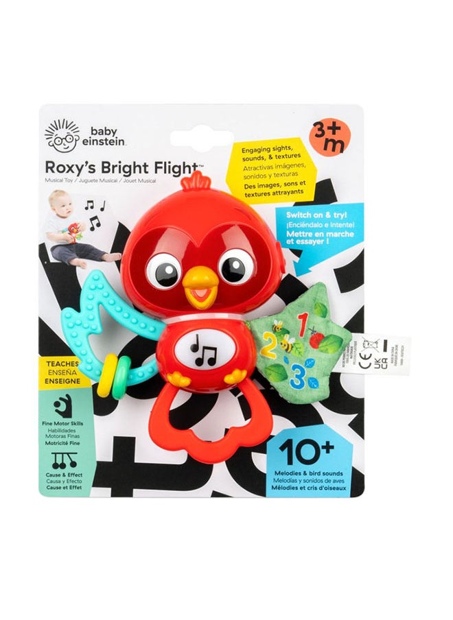 Baby Einstein - Roxy's Bright Flight Musical Toy, Interactive Sensory Toy with Lights, Music, and Textured Wings, 3 Months+